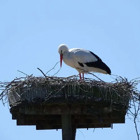 Romantic With Storage *