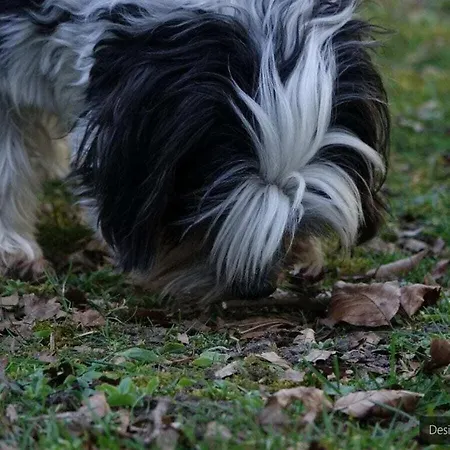 Romantic With Storage *