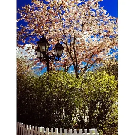 Romantic With Storage Semesterbostad Wyk auf Föhr