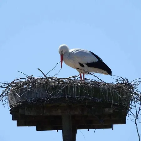 Romantic With Storage Semesterbostad *