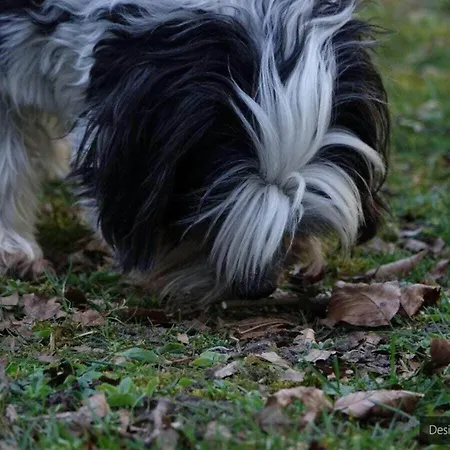 Romantic With Storage Wyk auf Föhr